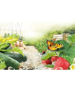 Ziegler Pro Natur® Erdbeer- & Gemüsewolle, 48 X 850 Gramm -Blumen Geschaft 1614080 WE MO 001 ErdbeerundGemueseholzwolle850g