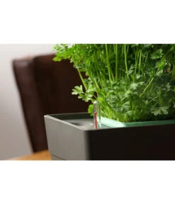 GREENBAR® Kräuterkasten, Ca. B48/H15,5/T16 Cm -Blumen Geschaft 20150713 350 greenbar fuellanzeiger studio herzig