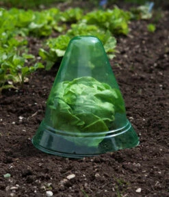 Windhager Pflanzenhut, Ø24 Cm, 10 Stk. -Blumen Geschaft 2062289 WE MO 002 WindhagerPflanzenhut