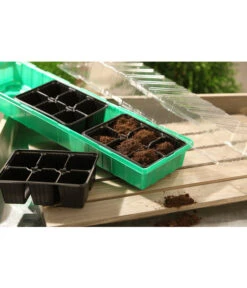 Dehner Zimmergewächshaus Frans, 54 X 15 X 12 Cm -Blumen Geschaft 207456 BildM 001 RombergZimmergewaechshausFransFensterbGewH54X15x12