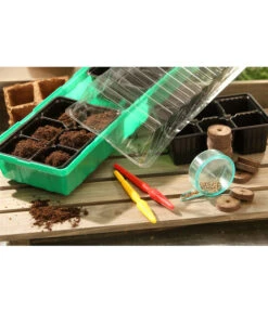 Dehner Zimmergewächshaus Frans, 54 X 15 X 12 Cm -Blumen Geschaft 207456 BildM 002 RombergZimmergewaechshausFransFensterbGewH54X15x12