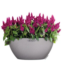 LECHUZA® Kunststoff-Schale Cubeto Stone, Rund -Blumen Geschaft 2182574 2180354 WE MO 003 LECHUZACubetoColorrundgranit