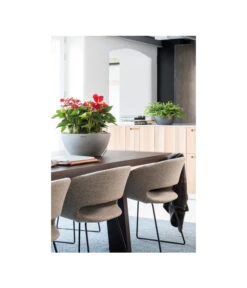 LECHUZA® Kunststoff-Schale Cubeto Stone, Rund -Blumen Geschaft 2182574 2180354 WE MO 009 LECHUZACubetoColorrundgranit