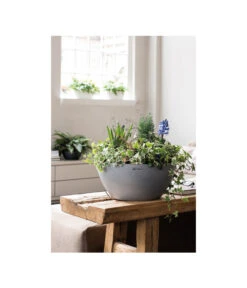 LECHUZA® Kunststoff-Schale Cubeto Stone, Rund -Blumen Geschaft 2182574 2180354 WE MO 011 LECHUZACubetoColorrundgranit