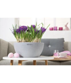 LECHUZA® Kunststoff-Schale Cubeto Stone, Rund -Blumen Geschaft 2182574 2180354 WE MO 015 LECHUZACubetoColorrundgranit