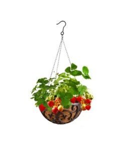 Dehner Gusseisen-Hängeampel Katalonien Mit Kokoseinlage, Rund, Rost, Ca. Ø30/H15 Cm -Blumen Geschaft 2745461 WE MO 001 GusseisenHaengeampel30cm