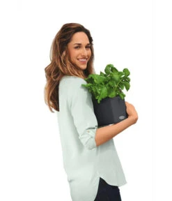 LECHUZA® CUBE Color, All-in-One Set -Blumen Geschaft 2843480 WE MO 002 CubeColor14GrauLechuza