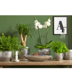 Dehner Keramik-Übertopf Rosella, Bauchig, Silber -Blumen Geschaft 3136926 PR MO 003 KeramikSerieRosellaChromUveSauer