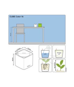 LECHUZA® CUBE Color, All-in-One Set -Blumen Geschaft 3179769 3179777 3179751 WE DE 001 CubeColor16