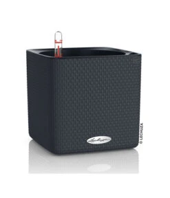 LECHUZA® CUBE Color, All-in-One Set