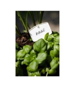 Elho Pflanz-Stift, 5 Stück -Blumen Geschaft 3266806 MO FS 001 PflanzstiftMweissElhoEtikett