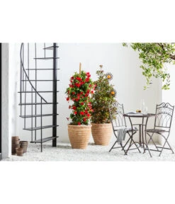 Terrakotta-Topf Perugia, Rund, Antik-terrakotta -Blumen Geschaft 3315819 3315926 3315892 WE MO 006 TerrakottaPflanztopfantikrund