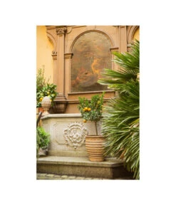 Terrakotta-Topf Perugia, Rund, Antik-terrakotta -Blumen Geschaft 3315926 3315892 3315819 WE MO 003 TerrakottaPflanztopfantikrund