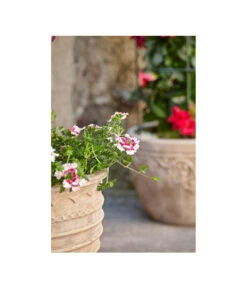 Terrakotta-Topf Perugia, Rund, Antik-terrakotta -Blumen Geschaft 3315926 3315892 3315819 WE MO 004 TerrakottaPflanztopfantikrundBlumentopf