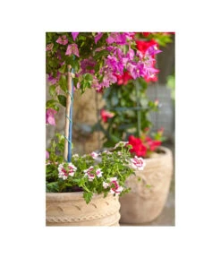 Terrakotta-Topf Perugia, Rund, Antik-terrakotta -Blumen Geschaft 3315926 3315892 3315819 WE MO 005 TerrakottaPflanztopfantikrundBlumentopf