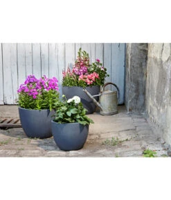 Dehner Leichtbeton-Pflanztopf Manchester, Rund, Antik-schwarz -Blumen Geschaft 3337151 3337169 3337136 3337144 WE MO 002 DehnerLeichtbetonPflanztopfantikschwarz