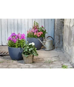 Dehner Leichtbeton-Pflanztopf Manchester, Rund, Antik-schwarz -Blumen Geschaft 3337151 3337169 3337136 3337144 WE MO 003 DehnerLeichtbetonPflanztopfantikschwarz