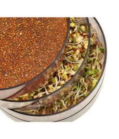 Dehner Sprossenhaus, 4 Schalen -Blumen Geschaft 3677101 WE MO 002 DehnerSprossenhausKeimsprossen