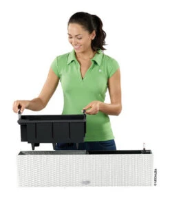 LECHUZA® Kunststoff-Kasten Balconera Cottage, Rechteckig -Blumen Geschaft 3815180 WE FS 005 LECHUZABlumenkastenBalconeraCottage