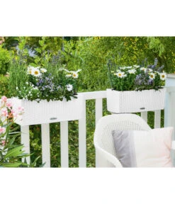 LECHUZA® Kunststoff-Kasten Balconera Cottage, Rechteckig -Blumen Geschaft 3815180 WE MO 004 LECHUZABlumenkastenBalconeraCottage