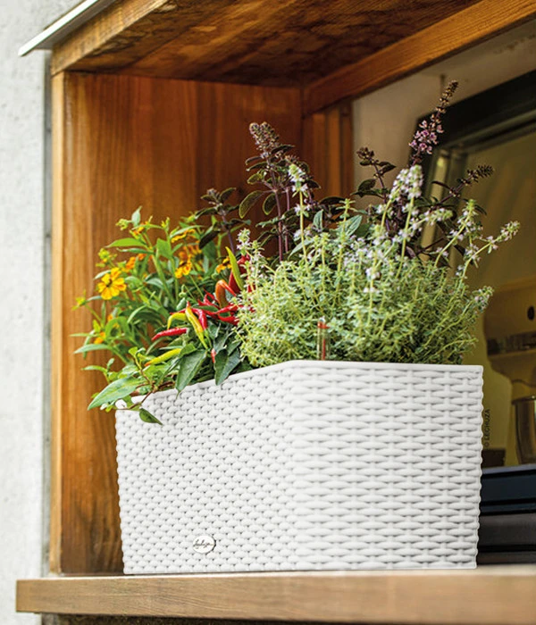 LECHUZA® Kunststoff-Kasten Balconera Cottage, Rechteckig – Bild 9