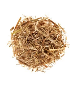 Neue Produkte -Blumen Geschaft 3940285 BildD 001 PilzmaennchenBioHomePilzzuchtsetAusternpilzPilzbrutAusternpilzSet