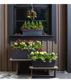 Efeu, Verschiedene Sorten -Blumen Geschaft 3940764 PR MO 001 KunststoffKastenKubus