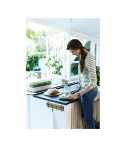 Elho Anzuchthaube L -Blumen Geschaft 4026704 WE MO 001 AnzuchthausLTransparentElho