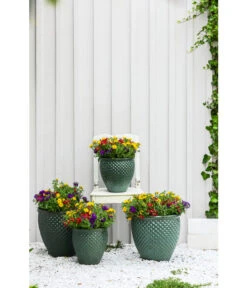 Blumen Geschaft -Blumen Geschaft 4057220 4057246 4057261 WE MO 001 DehnerKeramikTopfJade