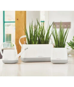 LECHUZA® YULA Gießkanne, 1,7 L -Blumen Geschaft 4065850 PR MO 001 4065934 4065884 YulaSetWeissGrau