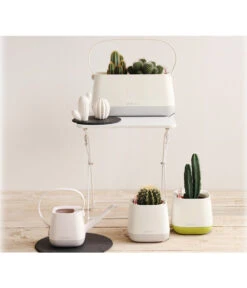 LECHUZA® YULA Gießkanne, 1,7 L -Blumen Geschaft 4065934 PR MO 001 4065884 4065850 4065876 YulaSetWeissGrauGruen