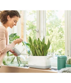 LECHUZA® YULA Gießkanne, 1,7 L -Blumen Geschaft 4065934 PR MO 001 YulaPflanztascheWeissGrau 4065884