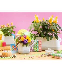 LECHUZA® YULA Gießkanne, 1,7 L -Blumen Geschaft 4065934 PR MO 002 4065884 4065850 YulaSetWeissGrau