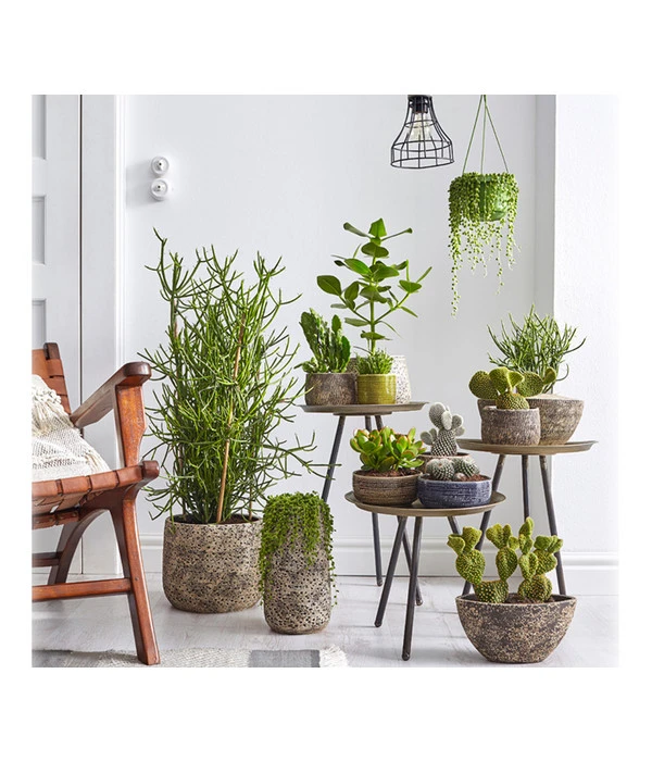 Dehner Keramik-Übertopf Stef, Rund, Braun – Bild 2