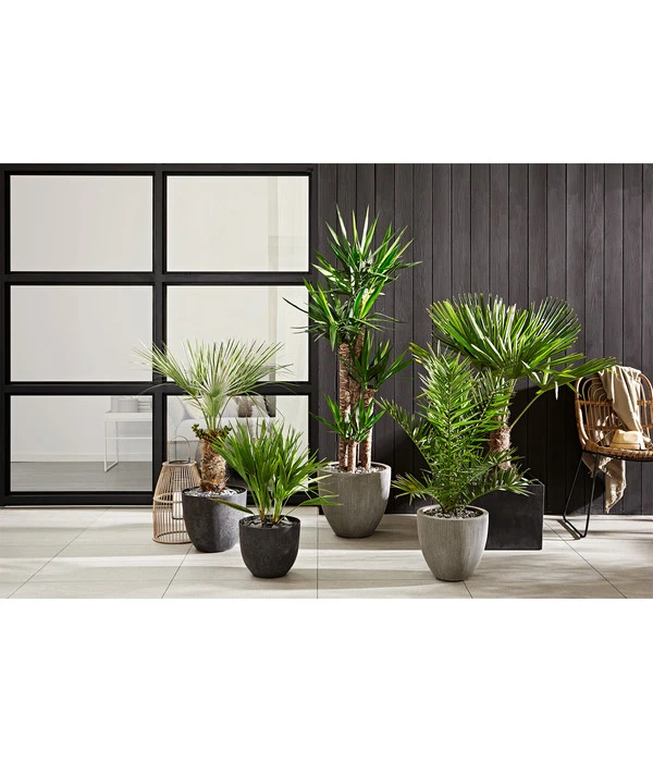 Artstone Kunststoff-Topf Maud, Quadratisch 2 Artstone Kunststoff-Topf Maud, Quadratisch – Bild 2