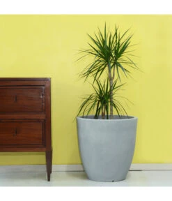 Farmet Kunststoff-Topf-Set Orione Alto, Rund, Grau, 2-teilig -Blumen Geschaft 4109179 WE DE 002 ORIONEALTOHoherRunderPflanzkuebelDurchmesser50cm50cmhochSTEINBEIGE