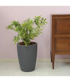 Farmet Kunststoff-Topf-Set Hydra, Konisch, Anthrazit, 2-teilig -Blumen Geschaft 4183653 WE DE 002 HYDRARunderPflanzkuebelDurchmesser36cm50cmhochDUNKELANTHRAZIT