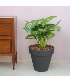 Blumen Geschaft -Blumen Geschaft 4185401 WE DE 002 PEGASUSKonischerPflanzkuebelDurchmesser40cm37cmhochDUNKELANTHRAZIT