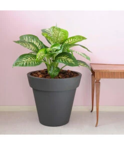 Farmet Kunststoff-Topf-Set Pegasus, Konisch, Anthrazit, 2-teilig -Blumen Geschaft 4185690 WE DE 002 PEGASUSKonischerPflanzkuebelDurchmesser50cm46cmhochDUNKELANTHRAZIT