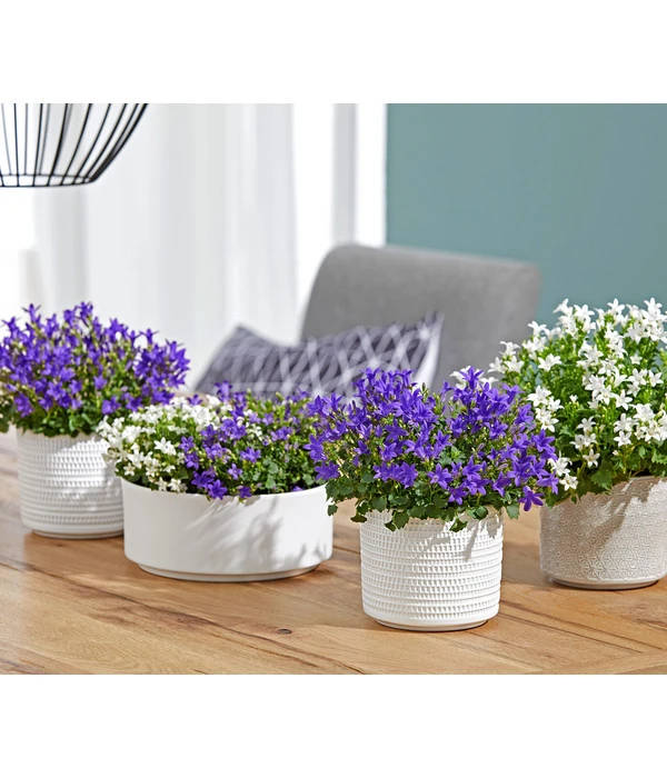 Dehner Keramik-Übertopf Sino, Rund – Bild 3