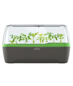 Romberg BoQube Gewächshaus -Blumen Geschaft 4299970 WE FS 005 RombergGewaechshausZimmergewaechshausAnzucht