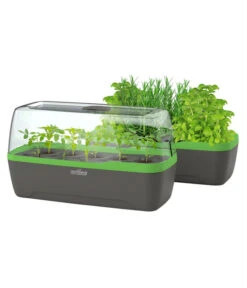 Romberg BoQube Gewächshaus -Blumen Geschaft 4299970 WE FS 006 BoQubeGewaechshausZimmergewaechshaus