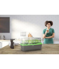 Romberg BoQube Gewächshaus -Blumen Geschaft 4299970 WE MO 001 RombergGewaechshausZimmergewaechshausAnzucht