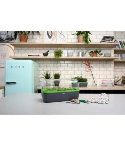 Romberg BoQube Gewächshaus -Blumen Geschaft 4299970 WE MO 002 BoQubeGewaechshausZimmergewaechshaus