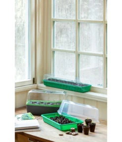 Romberg BoQube Gewächshaus -Blumen Geschaft 4299970 WE MO 004 BoQubeZimmergewaechshaus 1