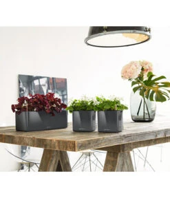 LECHUZA® CUBE Glossy, All-in-One Set -Blumen Geschaft 4310470 PR MO 002 4310512CubeGlossyAnthrazit