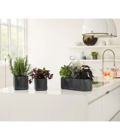 LECHUZA® CUBE Glossy, All-in-One Set -Blumen Geschaft 4310470 PR MO 003 4310512CubeGlossyAnthrazit