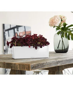 LECHUZA® CUBE Glossy Triple, All-in-One Set, 40 Cm -Blumen Geschaft 4310652 PR MO 001 CubeGlossyTripleWeiss