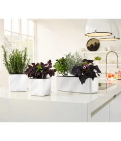 LECHUZA® CUBE Glossy Triple, All-in-One Set, 40 Cm -Blumen Geschaft 4310652 PR MO 003 CubeGlossyTripleWeiss