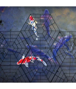 Gardigo Teichschutz -Blumen Geschaft 4315362 WE MO 003 GardigoTeichschutz